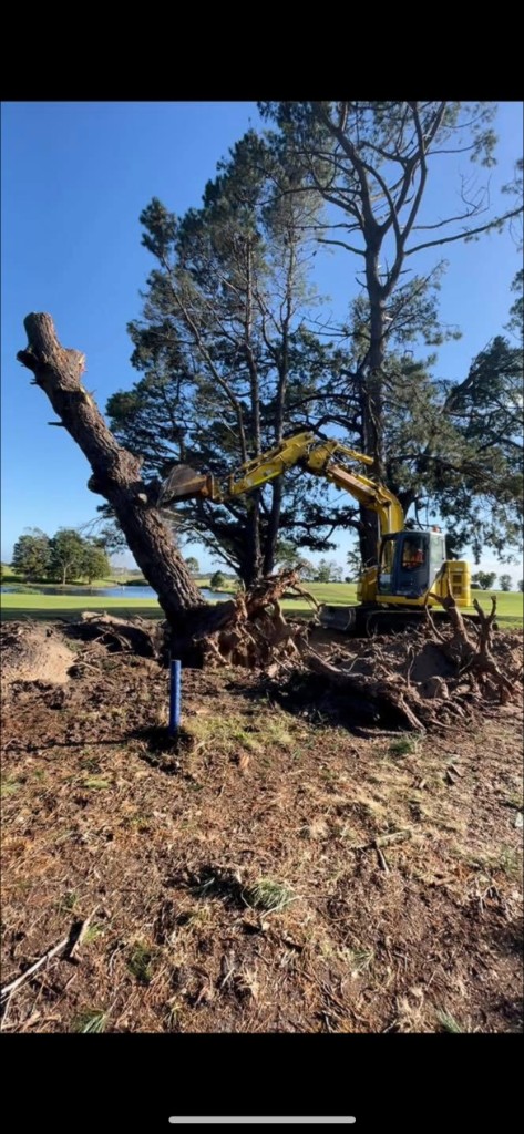 Leveled site at sunset
