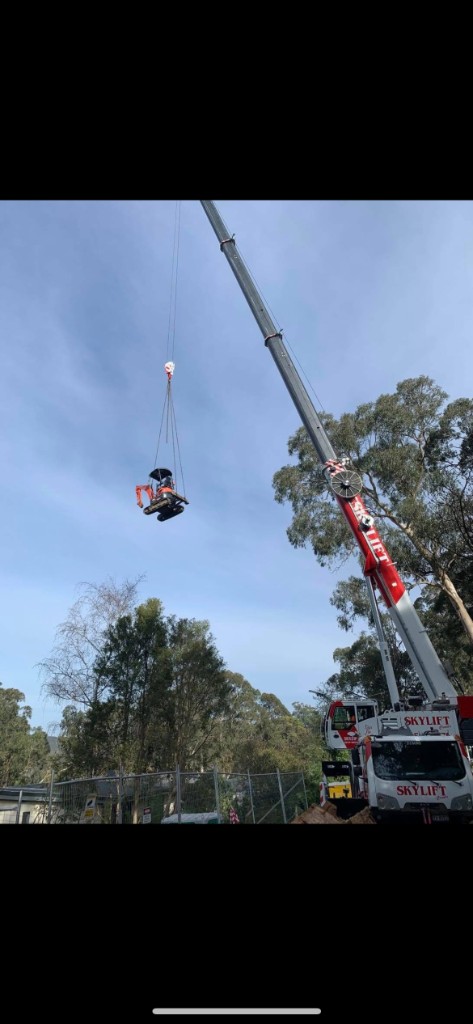 Crane and excavator on site